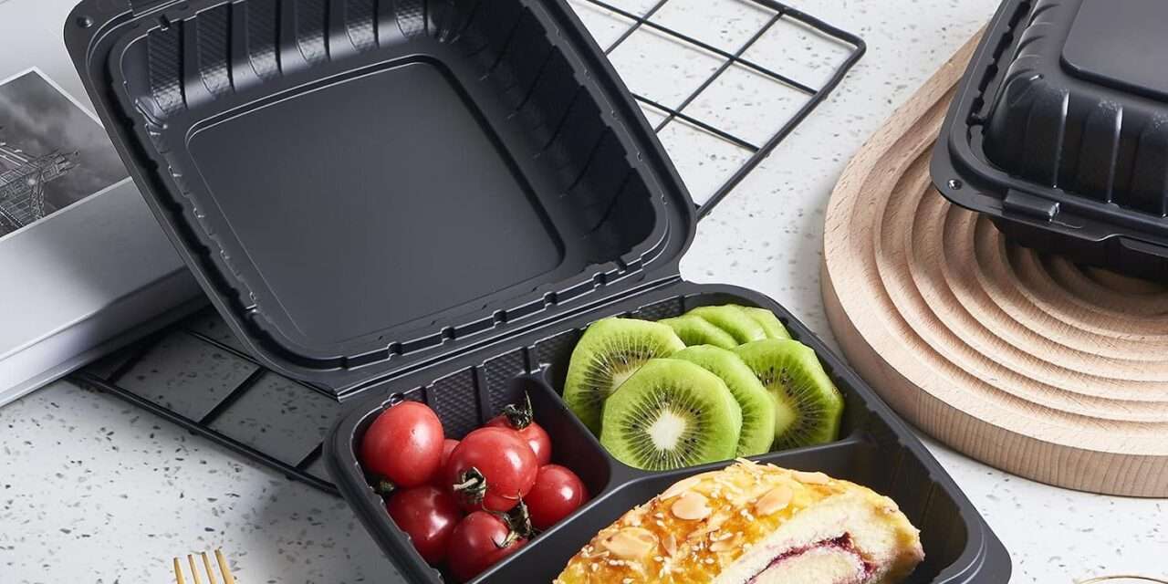 Plastična zamka na našem tanjuru: Ekološka i zdravstvena anatomija jednokratne ambalaže